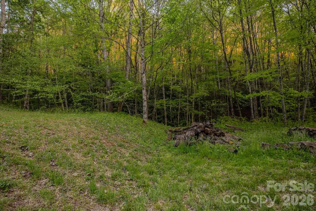 000 Unahala Creek Drive Bryson City NC 28713