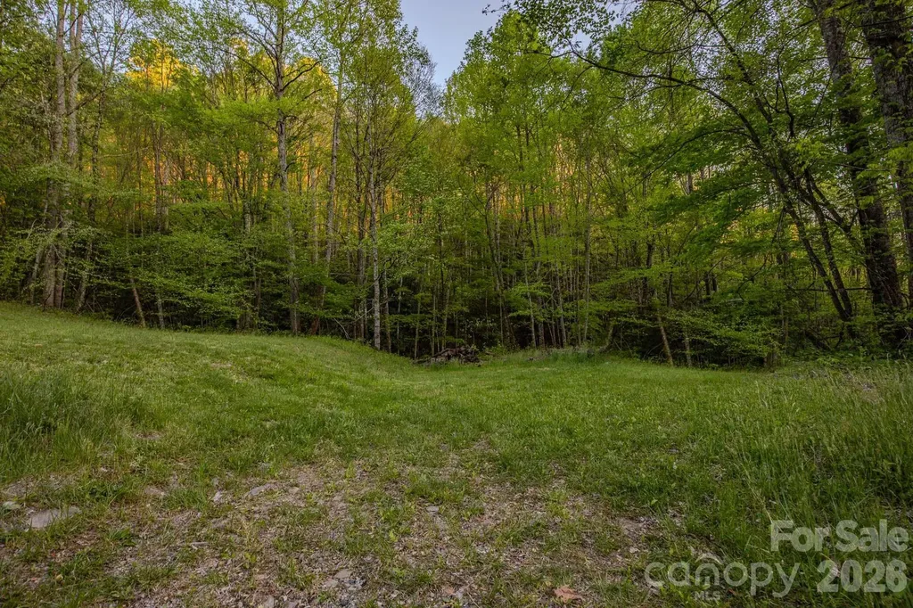 000 Unahala Creek Drive Bryson City NC 28713