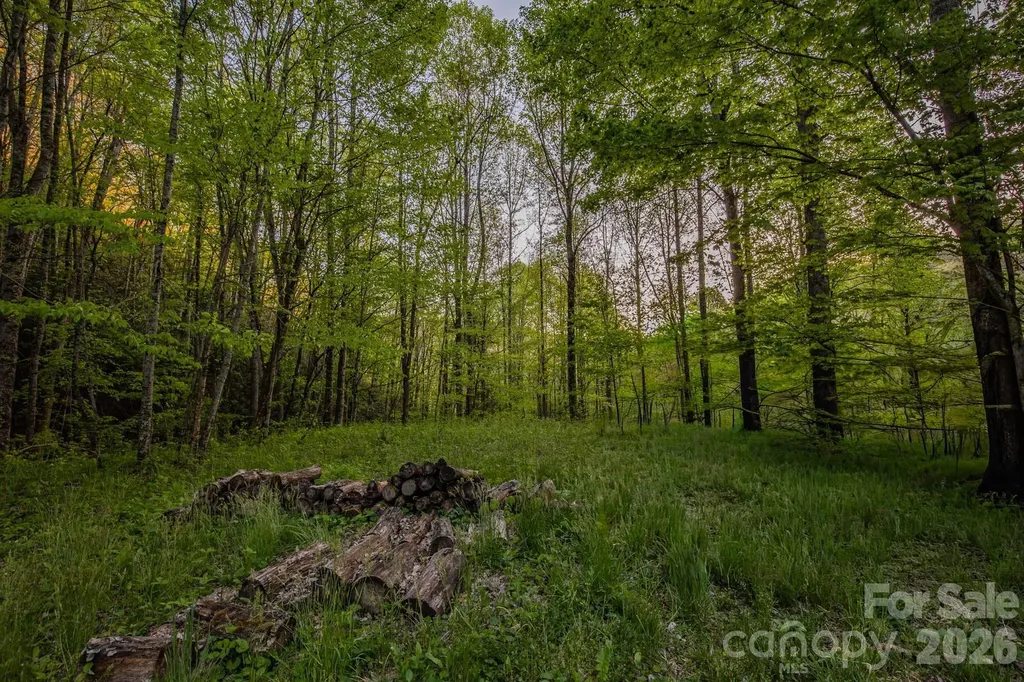 000 Unahala Creek Drive Bryson City NC 28713