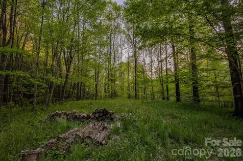 000 Unahala Creek Drive Bryson City NC 28713
