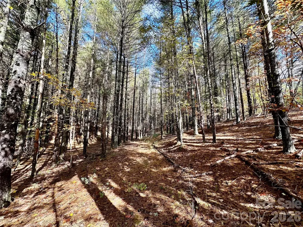 146 Bream Flats Drive Nebo NC 28761