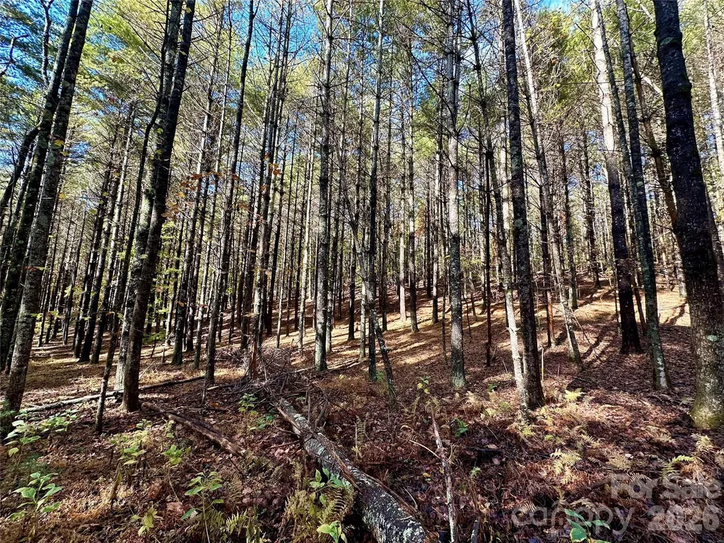 146 Bream Flats Drive Nebo NC 28761