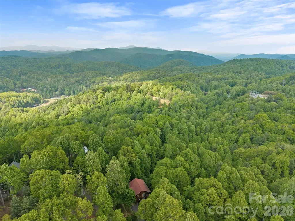350 Laurel Mountain Trail Saluda NC 28773