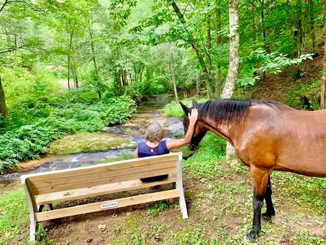Lot G20, 2085 Thoroughbred Way Lenoir NC 28645