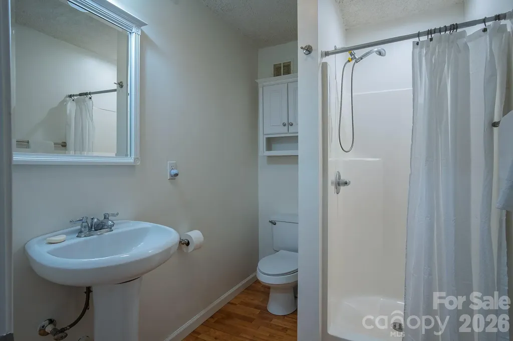 17 Squires Lane Candler NC 28715