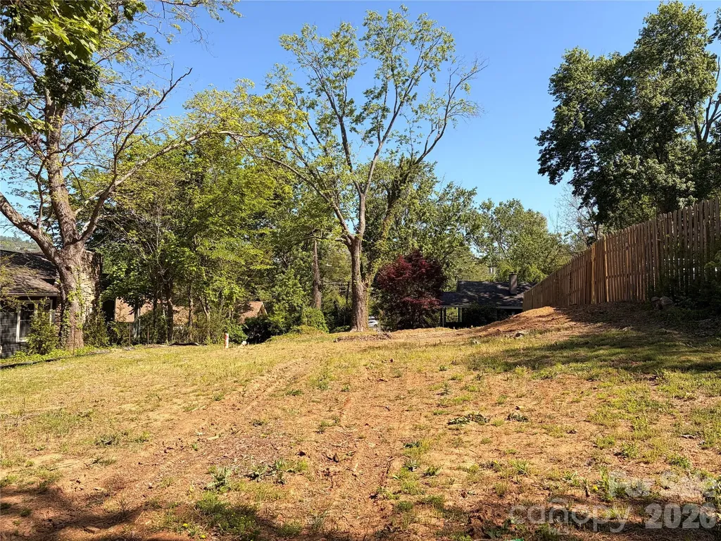 17 Irving Street Asheville NC 28803