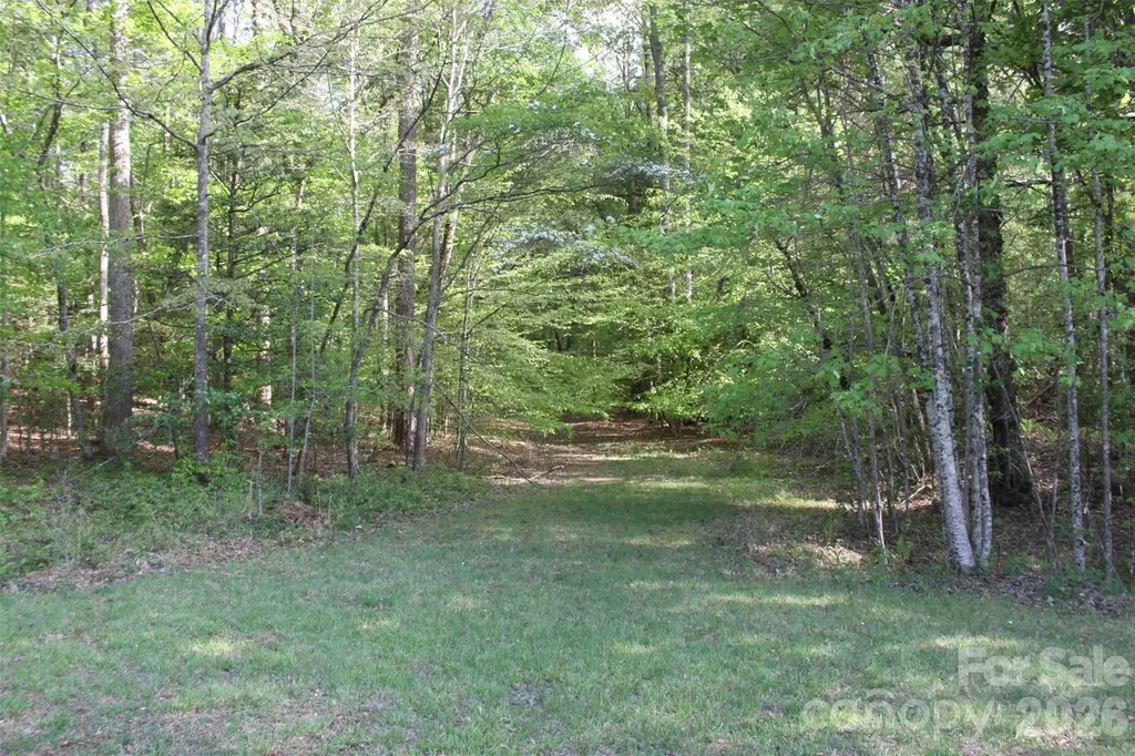 Tbd Austin Traphill Road Elkin NC 28621