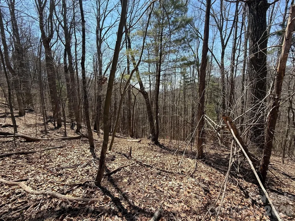 000 Granny Shepherd Road Mars Hill NC 2875497
