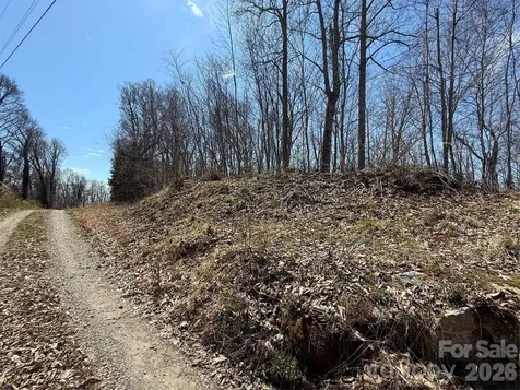 000 Granny Shepherd Road Mars Hill NC 2875497