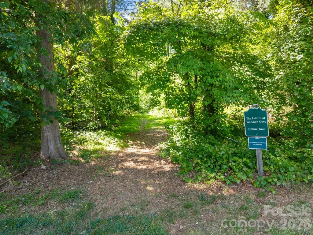 125 Sundown Cove Drive Mooresville NC 28117