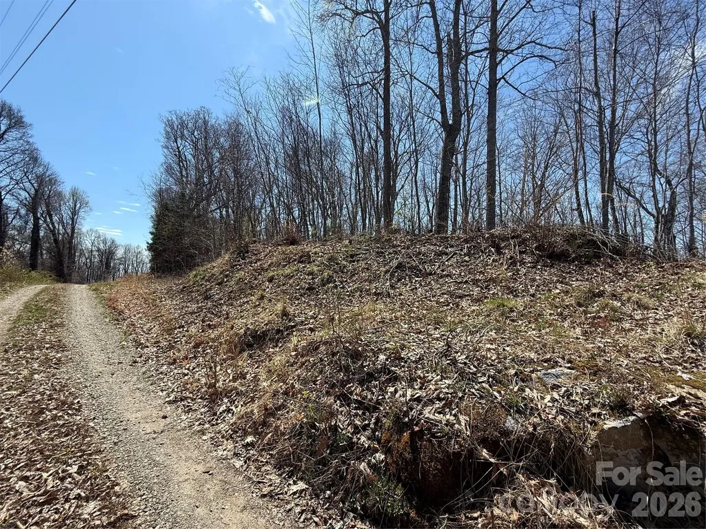 000 Granny Shepherd Road Mars Hill NC 28754