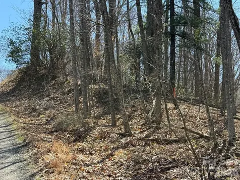 000 Granny Shepherd Road Mars Hill NC 28754