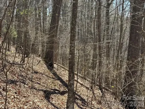 000 Granny Shepherd Road Mars Hill NC 28754
