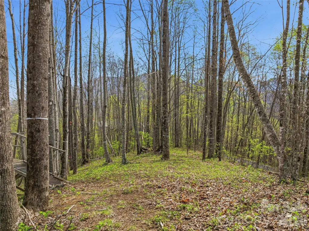 #227 Flying Dutchman Road Sylva NC 28779