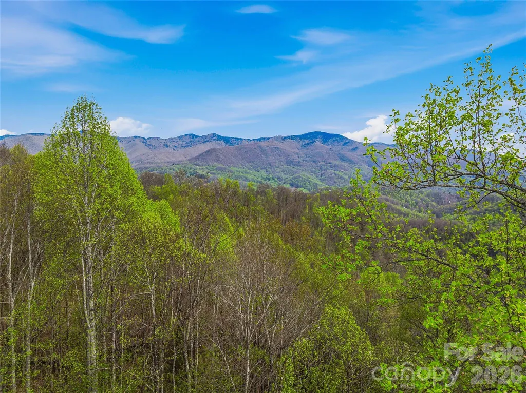 #227 Flying Dutchman Road Sylva NC 28779