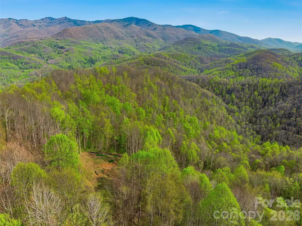 #227 Flying Dutchman Road Sylva NC 28779