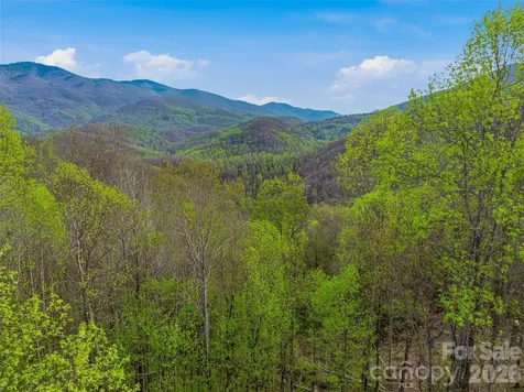 #227 Flying Dutchman Road Sylva NC 28779