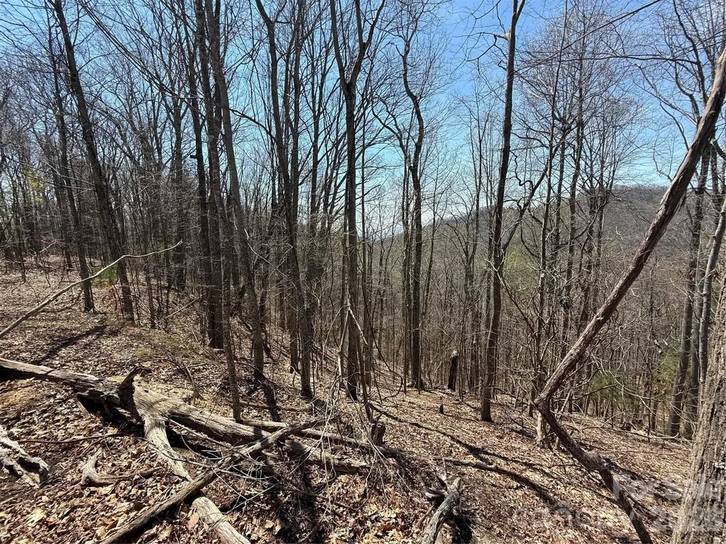 000 Granny Shepherd Road Mars Hill NC 28754