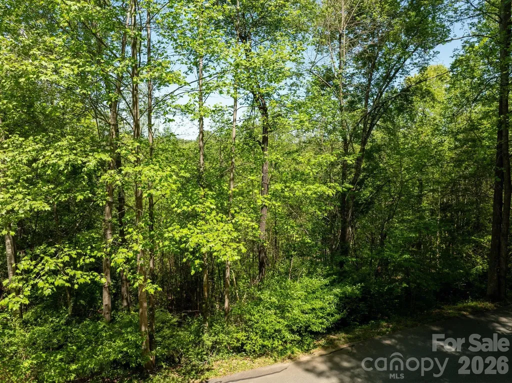 Tbd Rockwood Drive Lenoir NC 28645