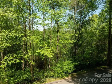 Tbd Rockwood Drive Lenoir NC 28645