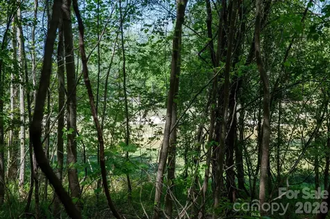 Tbd Rockwood Drive Lenoir NC 28645