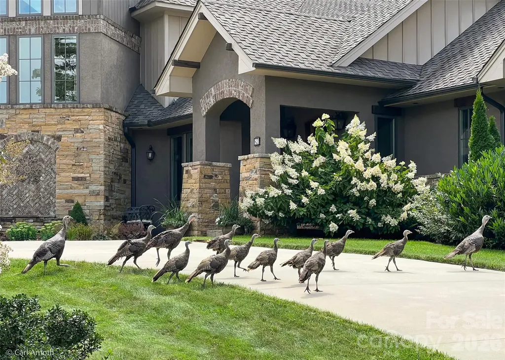 4642 Bearwallow Mountain Road Hendersonville NC 28792