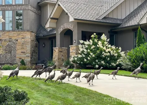 4642 Bearwallow Mountain Road Hendersonville NC 28792