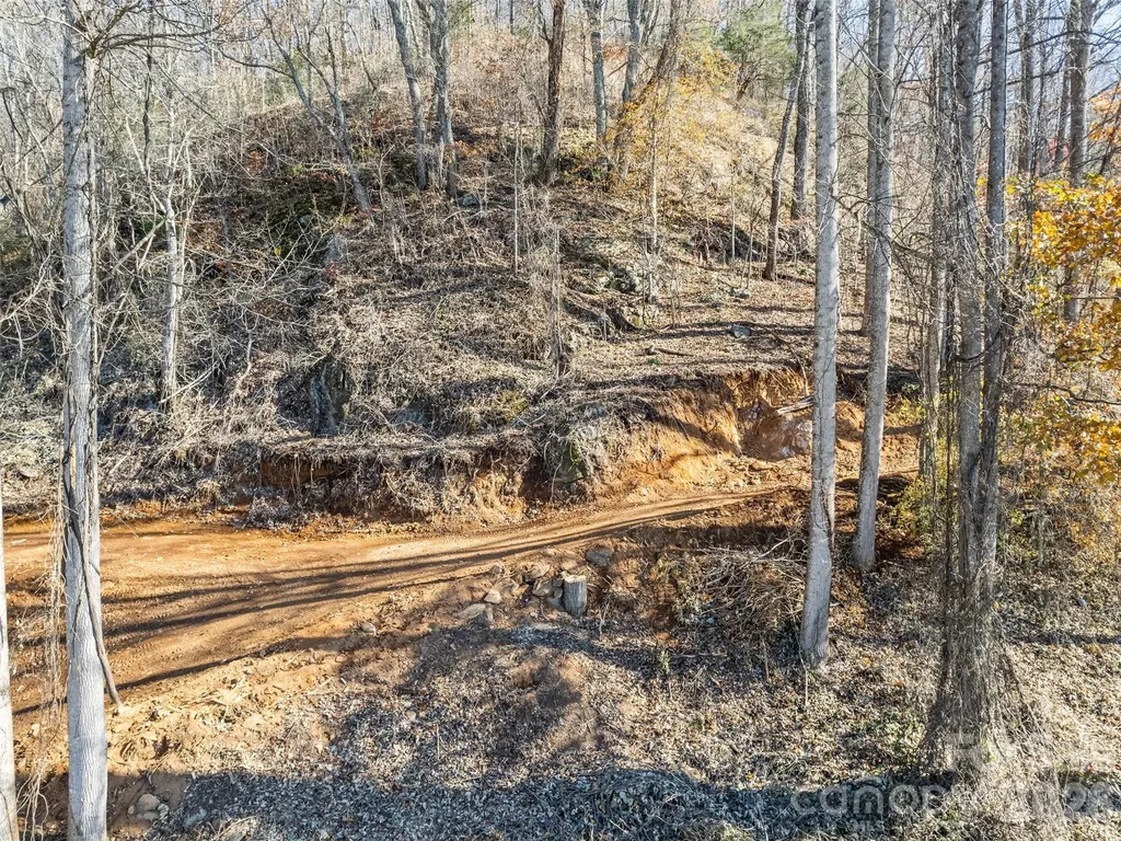 Tract 3: Lot 4 White Birch Drive Sylva NC 28779
