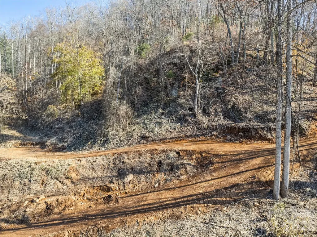 Tract 3: Lot 4 White Birch Drive Sylva NC 28779