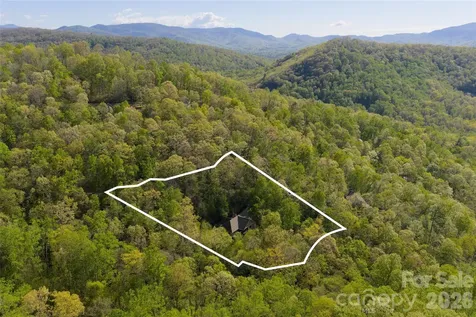 36 Snowshoe Drive Asheville NC 28803