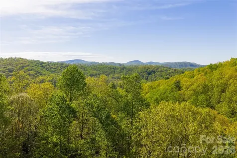36 Snowshoe Drive Asheville NC 28803