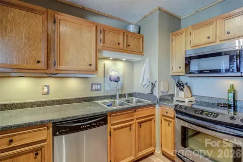 103 Sugar Ski Drive Banner Elk NC 28604