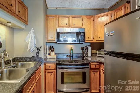 103 Sugar Ski Drive Banner Elk NC 28604