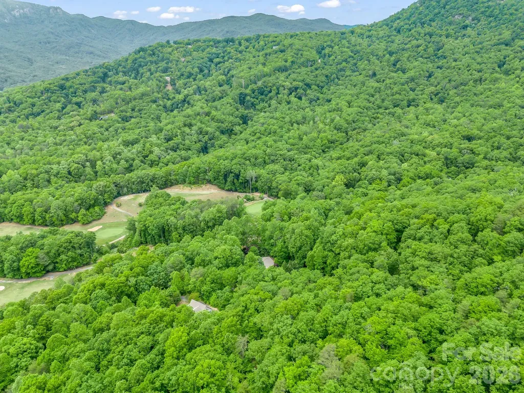 425 Winesap Boulevard Lake Lure NC 28746