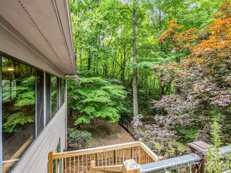 425 Winesap Boulevard Lake Lure NC 28746