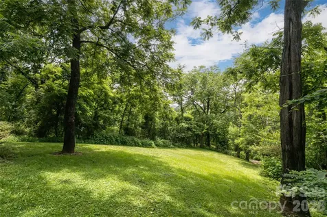 119 Old Salem Branch Drive Alexander NC 28701