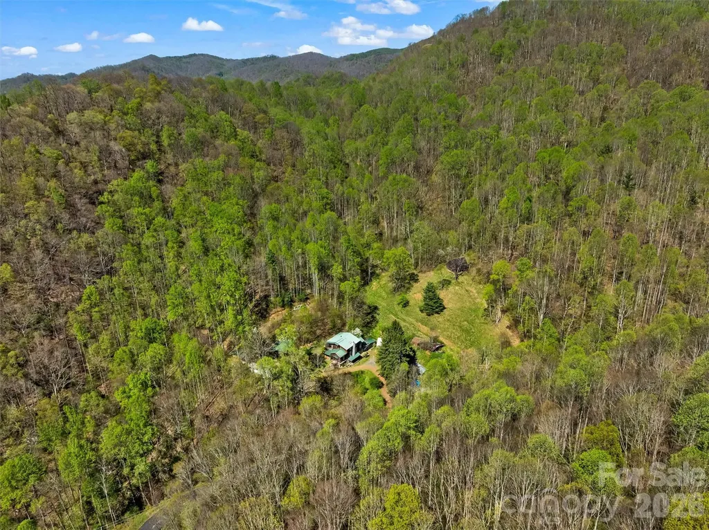 1717 Howard Moore Road Hot Springs NC 28743