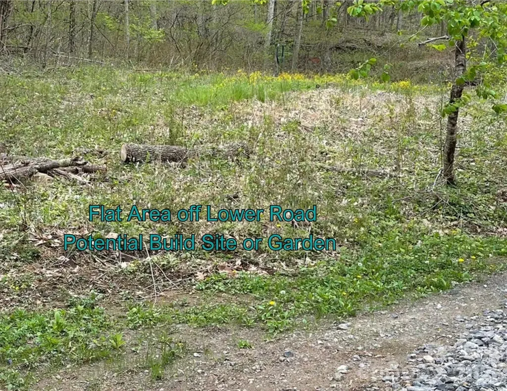 130 Gavin Glenn Road Weaverville NC 28787