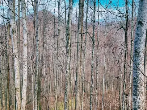 130 Gavin Glenn Road Weaverville NC 28787