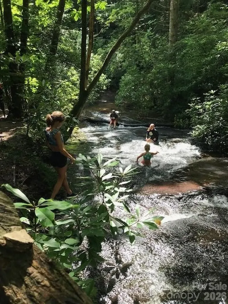 2698 Connestee Trail Brevard NC 28712