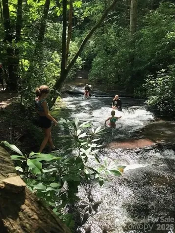 2698 Connestee Trail Brevard NC 28712