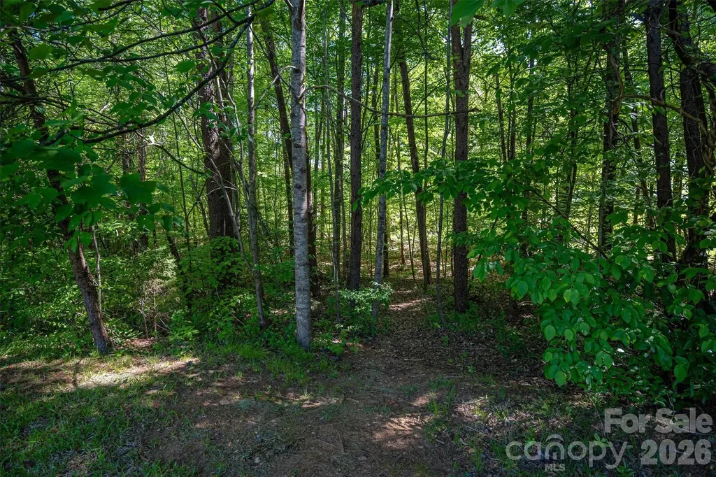 1725 Bay Head Court Catawba NC 28609