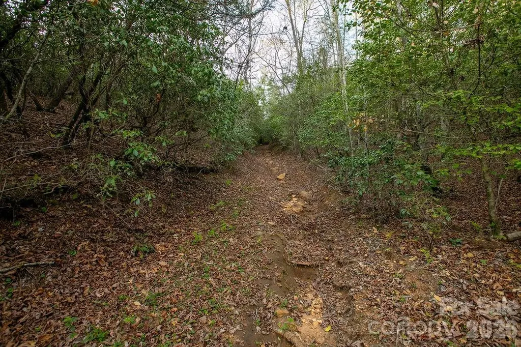 Off Diamond Creek Road Lake Toxaway NC 28747