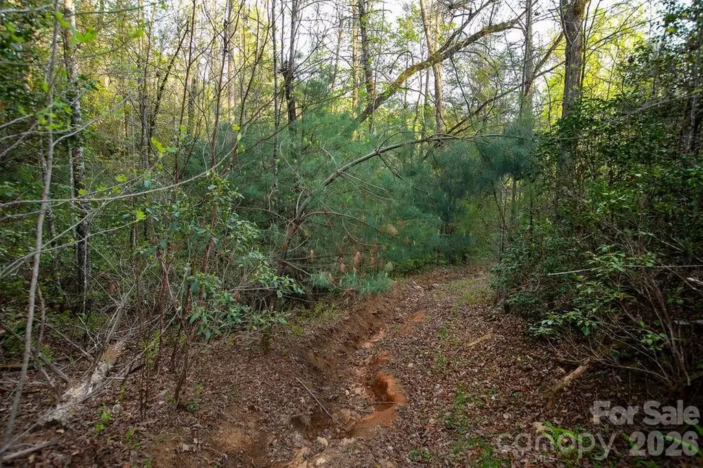 Off Diamond Creek Road Lake Toxaway NC 28747