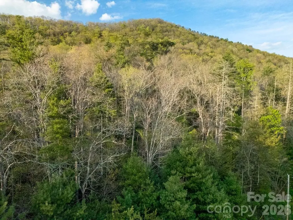 Off Diamond Creek Road Lake Toxaway NC 28747