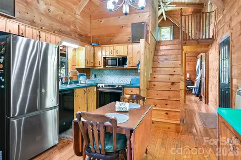 10 Black Locust Drive Asheville NC 28804