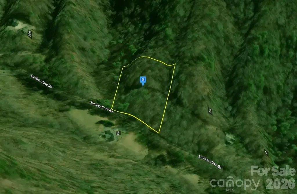 9 Smoky Cove Road Whittier NC 28789