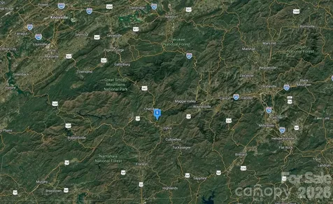 9 Smoky Cove Road Whittier NC 28789
