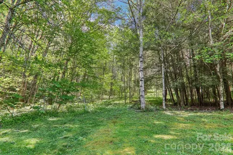 129 Cash Phillips Drive Mars Hill NC 28754