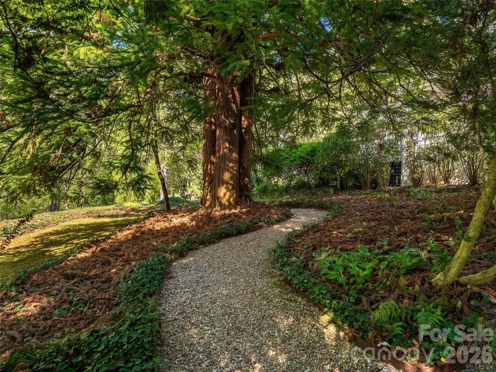 300 Ivy Terrace Drive Saluda NC 28773
